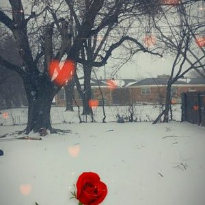 Meet your Posher, Chelsey